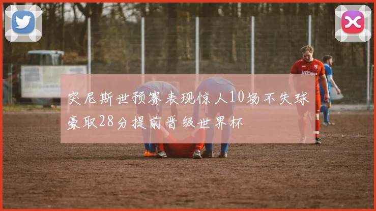 突尼斯世预赛表现惊人10场不失球豪取28分提前晋级世界杯