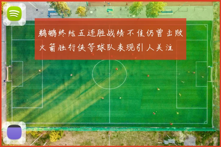 鹈鹕终结五连胜战绩不佳仍曾击败火箭独行侠等球队表现引人关注