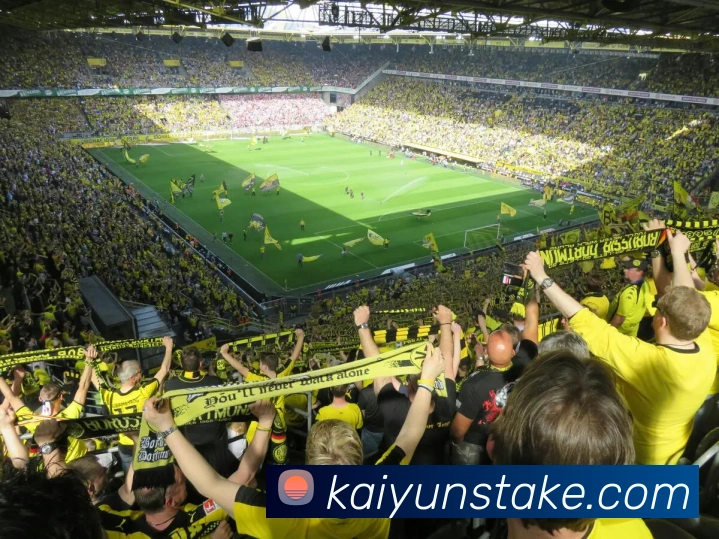 App Interface Preview