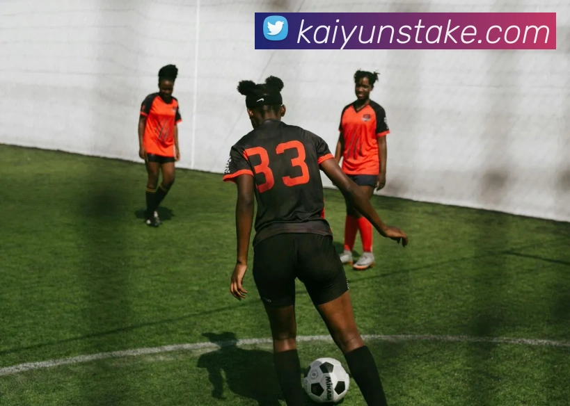 开云体育APP 封面图